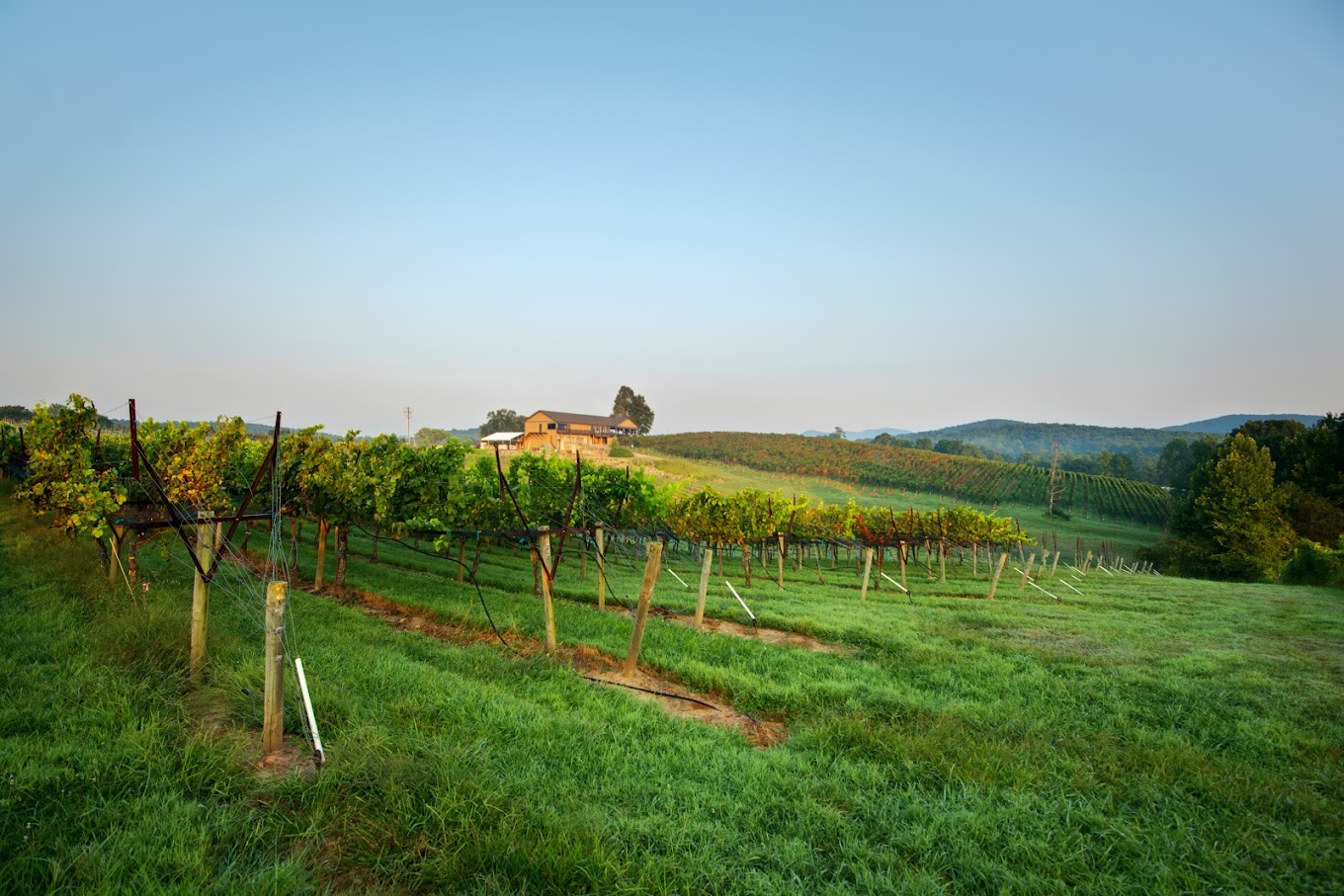 Kaya Vineyards & Winery